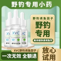 Fishing small drug fishing fishing carp special additive bait fish bait acid specializes in fish bait bait