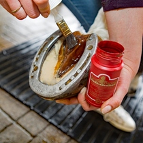 Belgian KevinBacons hoof fork tar horseshoe sterilization oil recovery horseshoe health horseshoe oil horseshoe cream