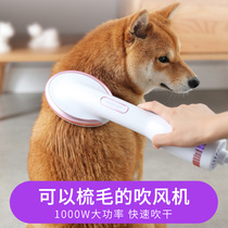 Dog hair dryer Hair pulling artifact Quick-drying Teddy puppy bath Pet hair blowing comb one pet shop special