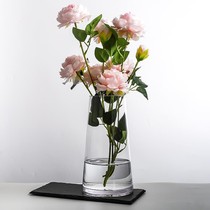 Songmin Nordic ins light luxury transparent T-type green plant hydroponic desktop ornaments glass vase table home soft decoration