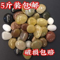 Natural pebbles rain stones decorative stones multicolored stones Fish tank flower pots Flower succulent gardening park paving potted plants