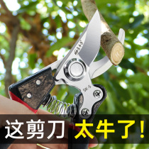 Scissors pruning shears Labor-saving pruning branch special scissors SK5 steel garden gardening fruit tree scissors Floral scissors