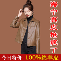 Haining Fur Dress 2023 New Short Short Short Little Ladys Leather Jacket High - end Sheep Cover