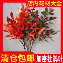 Manufacturer wholesale six-fork encryption cuckoo leaf emulation flower green planting wedding celebration flower art leaf material wedding flower arrangement flower arrangement branches