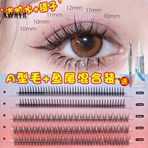Fish-tailed fairy hair mixed with A- type false eyelashes single cluster Net red fairy hair natural single grafted segmented hair