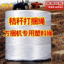 A roll of white rope 5kg brand new (to town)