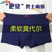 2-4 articles for mens underwear in mens underwear for young Modale big code plus fattening up underpants mens loose flat corner briefs