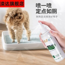 Guide Teddy bear inducer Puppy dog spray to the toilet feces assist defecation Puppy defecation