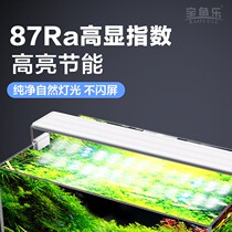 Fish tank lamp LED lamp full spectrum grass tank lamp aquarium splash-proof lighting algae explosion lamp small bracket water grass lamp