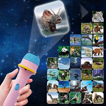 Childrens projector flashlight boy bedtime story dinosaur animal pattern glowing mini flashlight toy female