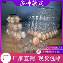 Factory direct plastic egg tray box transparent plastic disposable outdoor anti-drop box portable 1030