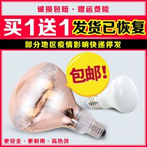 Modou bean bath bulb toilet heating 275w waterproof explosion-proof bathroom home light warming middle lighting universal