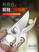 Gardening scissors peeler rechargeable electric pruning shears Fruit tree pruning branches scissors household scissors