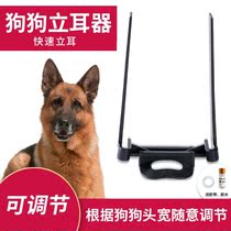 Vertical Ear Instrumental Young Dog Black Wolf Dog Dubin Pooch Ears Correction D Pasture Special Dubin Dog Ear Fixer Vertical Ear