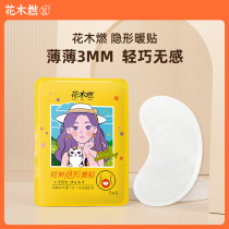 Flower and wood burning period warm patch female warm baby hot Post aunt Palace Wormwood conditioning self-heating warm body patch