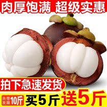 Mangosteen 10kg fruit 5kg a box market fresh seasonal fruit pregnant women fruit oil bamboo hemp bamboo 1kg