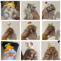 Golden bear hamster hat crochet wool small hat custom pet small hat small bag small clothes