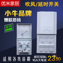 Integrated ceiling bath bully switch 16A new slide cover blowing delay five-in-one air warm 5 open 86 universal