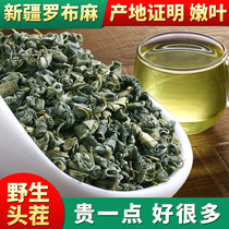 Xinjiang special wild apocynica tea official flagship store New Bud origin straight hair 500g health tea