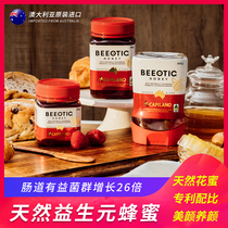beeotic honey ijian Australia original imported prebiotic wild bee 500g 250g 340g inverted