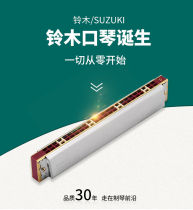 Japan Suzuki 24 Contone C A F G C#调原装初学者学生口琴成人演奏级乐器