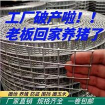 Anti-rust barbed fence fence mesh steel wire mesh mesh breeding chicken isolation protection net ring corn net