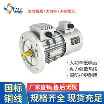 YVP YVF2 frequency conversion aluminum shell 4 level 0 18 0 37 0 55-4kW motor speed regulation national standard New all copper X