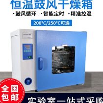Shanghai Yiheng DHG-9030A 9015A electrothermal constant temperature blast drying oven laboratory oven industrial oven