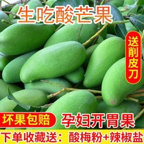 Guangxi fresh acid raw eat crunchy mango sour mango sour mango Hainan green Ivory Ivory Yunnan mango pickled 1 3kg 5kg