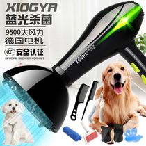 German XIONGYA Pet Hairdryer High Power Dog Special Blowing Archives Golden Mao Teddy Water Blower