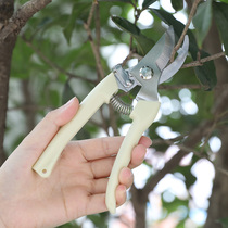 Fruit tree stainless steel strong garden gardening pruning scissors clearance household labor-saving pruning branch flower scissors