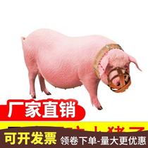 Sow mouth cover anti-bite piglet mouth mouth mouth pig pig pig cage pig mouth cover pig mouth special artifact