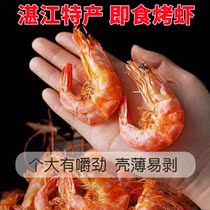 Chaoshan dried shrimp (Zhanjiang specialty)Grilled shrimp Ready-to-eat dried shrimp healthy calcium snacks Net red burst dried seafood