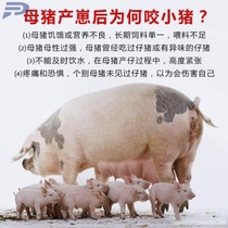 Sow mouth cover anti-bite piglet set artifact horse cattle sheep anti-eating mouth set sow anti-bite set