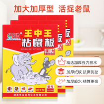 Jiaxiang Wang Zhongwang sticky mouse board strong glue catch big mouse paste to lure rat trap artifact thickening to increase household