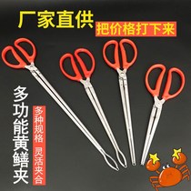 Finless eel holder eel fitter litter clip Clay Crab Clip Pliers Anti Slip Clip Fish God Instrumental Catch Fish crayfish tool