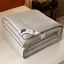 Dream home textile joint silk quilt 100 mulberry silk winter quilt thickened warm 10 kilograms of cotton quilts by single winter