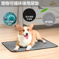 Pet Training Urine Pad Non-Slide Water Suction Dog Pad Machine Wash Reuse Small Pet Nowet and Thick Diabetes