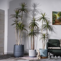 High-grade artificial plant thousand-year-old dragon blood tree fake tree indoor living room large-scale bionic green plant bonsai landscaping decoration