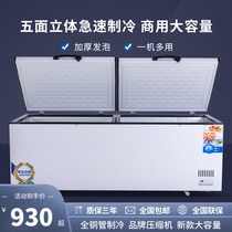 Horizontal freezer large capacity commercial household energy-saving double temperature freezer freezer freezer freezer freezer fresh-keeping quick freeze cabinet refrigerator