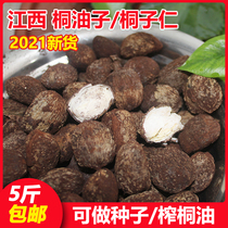 Wild Oil Tung Seeds Tung Seeds Rintongdried Tung Oil Tung Oil Tung Oil Tung Seeds Tung Seeds Tung Seeds Tung Nuts Chinese Medicinal Herbs Tung Oil Fruit Dried Fruits