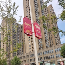 Real estate telephone pole China knot light box Road flag double-sided street lamp station custom light pole government cultural activities city