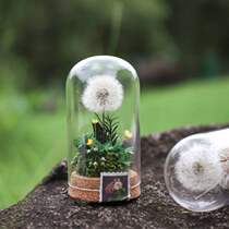 Eternal flower wishing bottle dandelion carnation teachers day mothers day gift for teacher to send mother material package