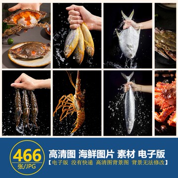 高清海鲜市场生猛海鲜活海鲜高清图水产海鱼摆拍JPG图片设计素材