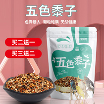 Five-color millet mixed food peony Xuanfeng Budgerigar feed Bird food Nutritional bird food food bird feed 500g