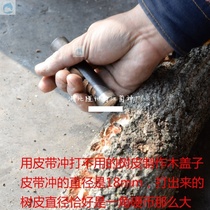 Mushroom tree punch Basswood fungus punch Oclock tool Wooden lid punch Wooden garden column punch Belt punch