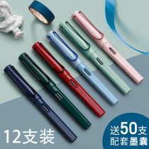 Morandi pen set to practice calligraphy positive position boy girl pen student special retro color children adult Special writing pen beginner gift gift can replace ink sac