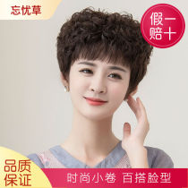 New middle-aged and elderly wig women full headgear short hair lifelike full round face curled head fake hair female real hair