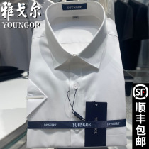 Counter Autumn and winter Youngor long sleeve shirt men non-iron high-end DP cotton business dress loose white inch shirt