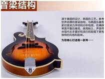 Yishan Tang (ten years old shop) MandolinF12 series mandolin Tuo Lin Qin handmade piano Western